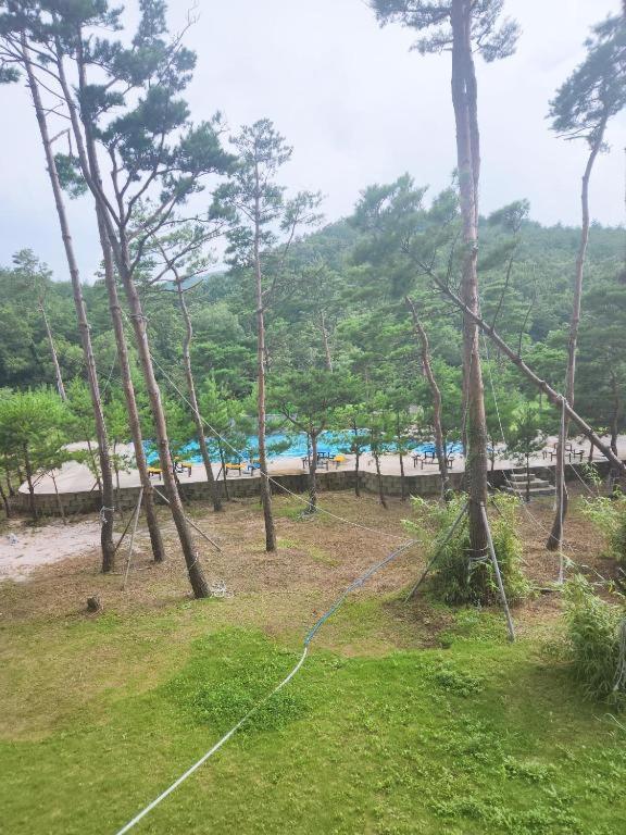 Sokcho Daemyung Heidi Pension Kültér fotó